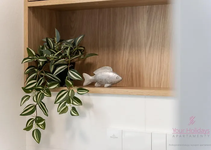 Your Holidays Bel Mare Aqua F109 미엥지즈드로예